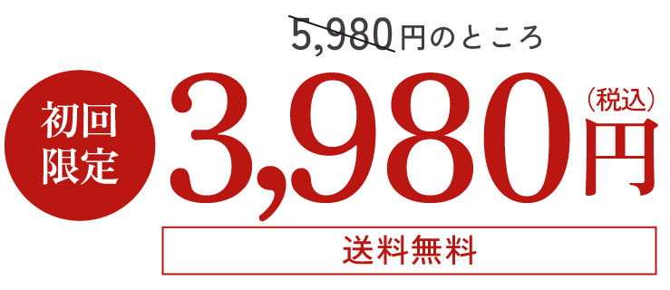 通常5,980円のところ初回限定3,980円（税込）送料無料