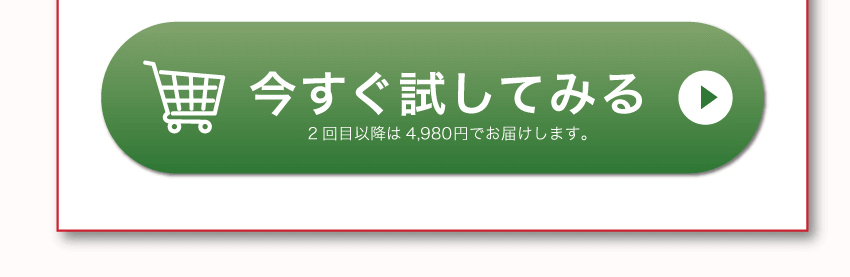 初回3,980円でお試し（お申込みはこちら）