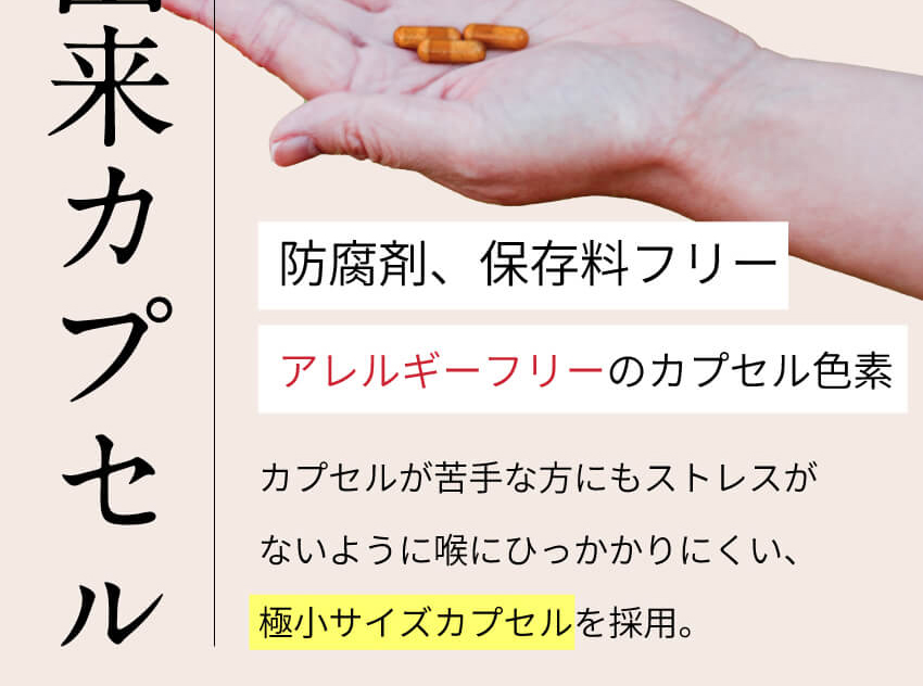 セラミドで毎日の美容ケアをサポート