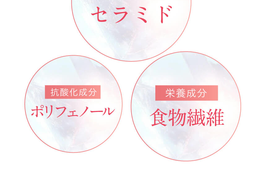 選ばれる理由 3つの特徴