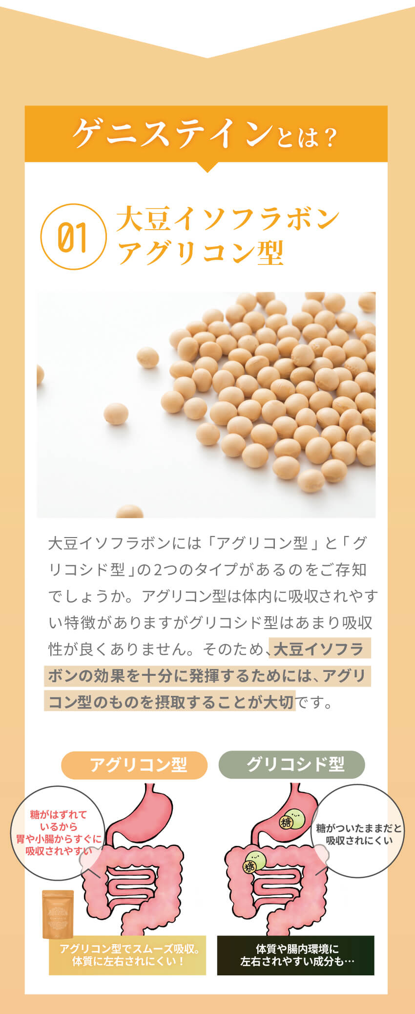 ゲニステインとは？大豆イソフラボンアグリコンの基礎知識とポイント