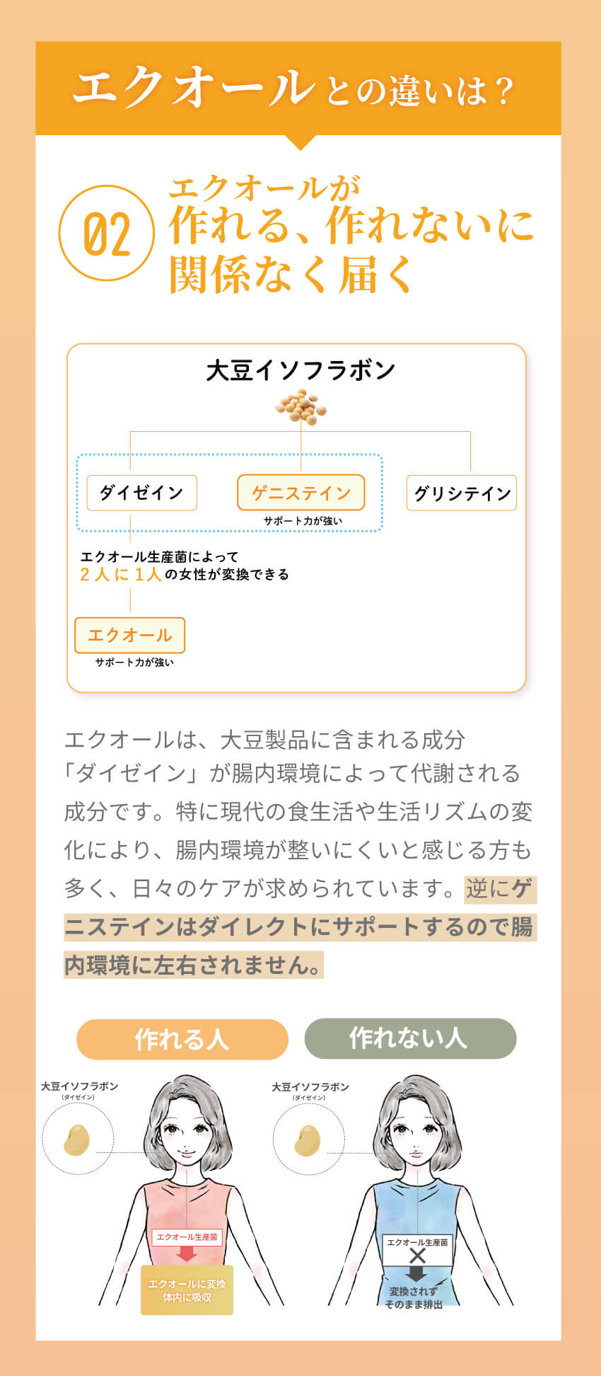 エクオールとの違いを図解で比較 ゲニステインの働きと選び方
