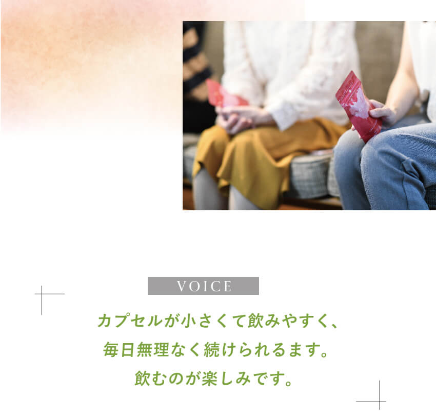 キレイ・デ・エクオールを愛用するお客様の声。カプセルが小さくて飲みやすく、毎日無理なく続けられるという実感コメントを紹介するUGCセクション。