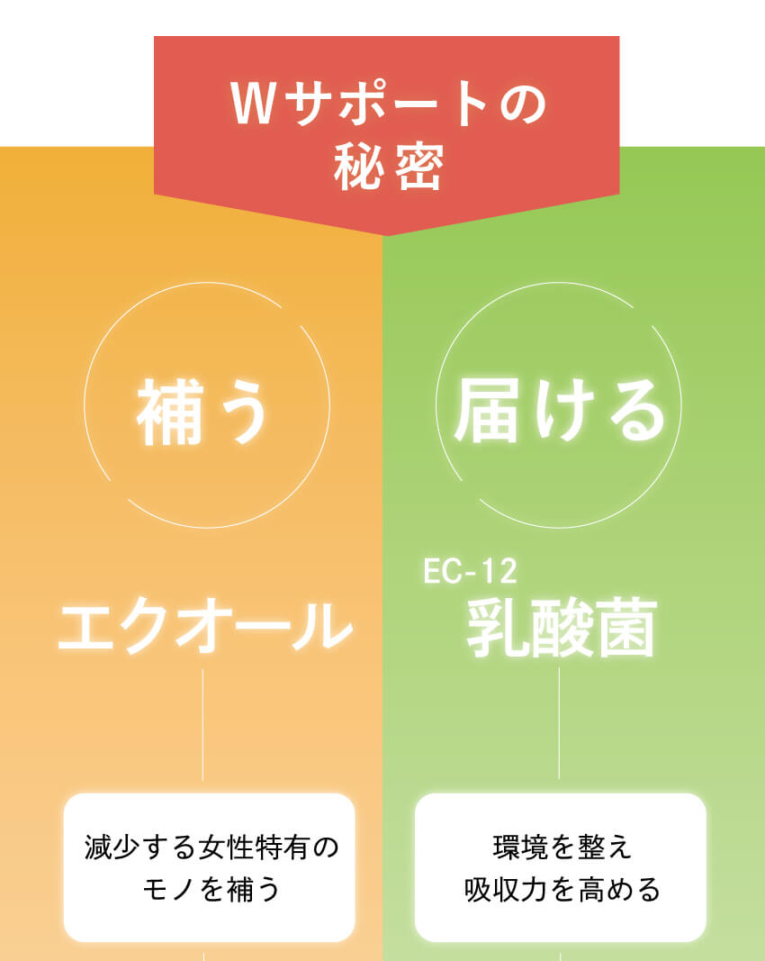 キレイ・デ・エクオールのWサポート設計。女性特有のゆらぎにエクオールで“補う”＋EC-12乳酸菌で“届ける”吸収サポートの仕組みを図解で紹介。