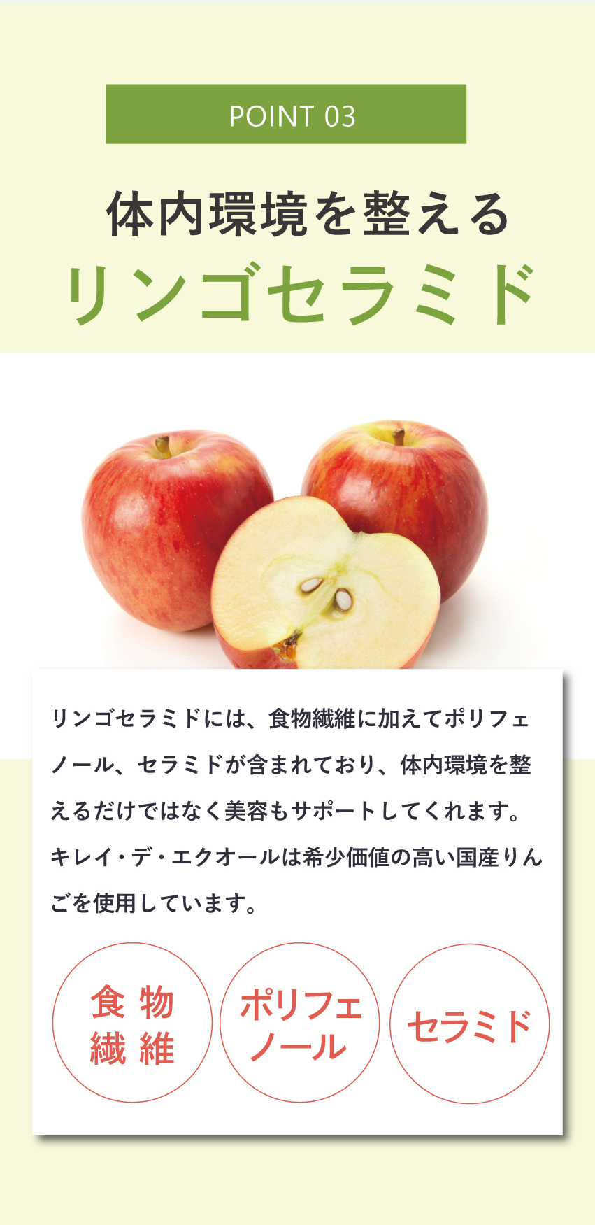 POINT03はリンゴセラミド。食物繊維・ポリフェノール・セラミドを含み、体内環境と美容をサポート。キレイ・デ・エクオールは希少な国産リンゴ由来成分を使用。