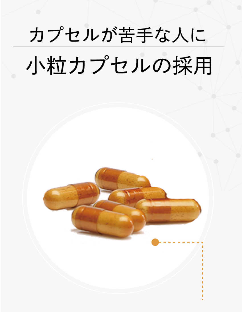 キレイ・デ・エクオールは、GMP基準をクリアした国内工場で生産・製造。徹底した品質管理のもとで作られていることを証明する工場外観画像。