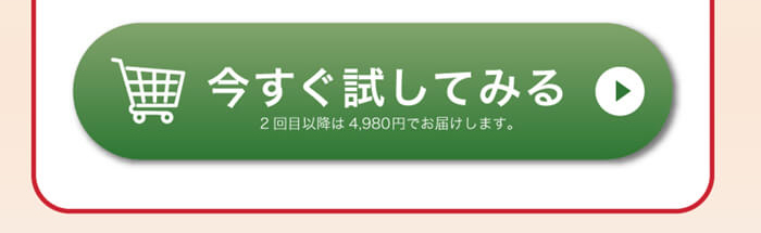 今すぐ試してみる（お申込みボタン）