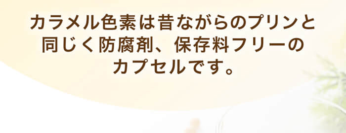 カプセル色素の説明