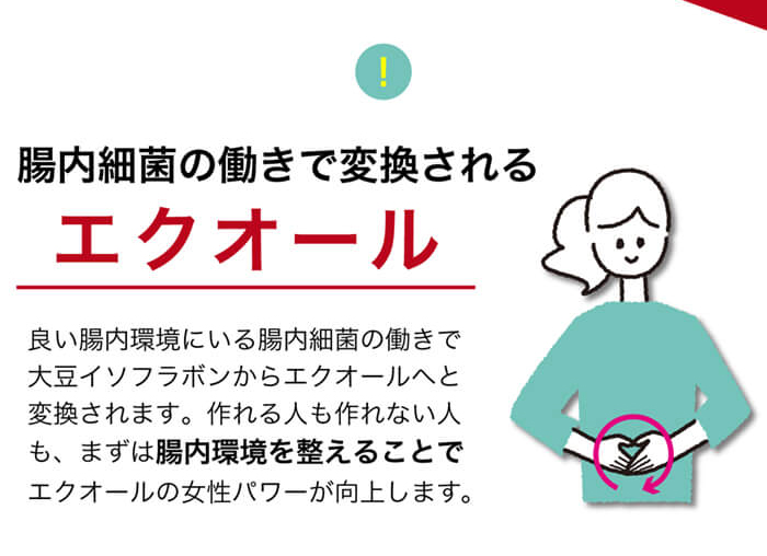 腸内細菌の働きで変換されるエクオール