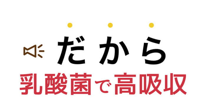 だから乳酸菌で高吸収