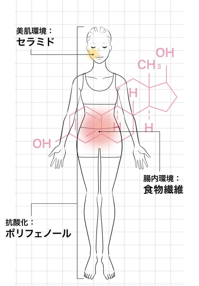 年齢に悩む女性のためのりんごセラミドの効果と特徴