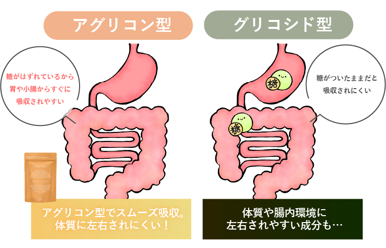 吸収の違いの図解