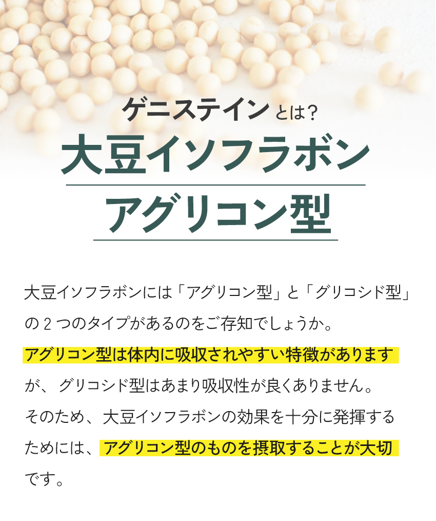 ストーリー｜ゲニステインとの出会い