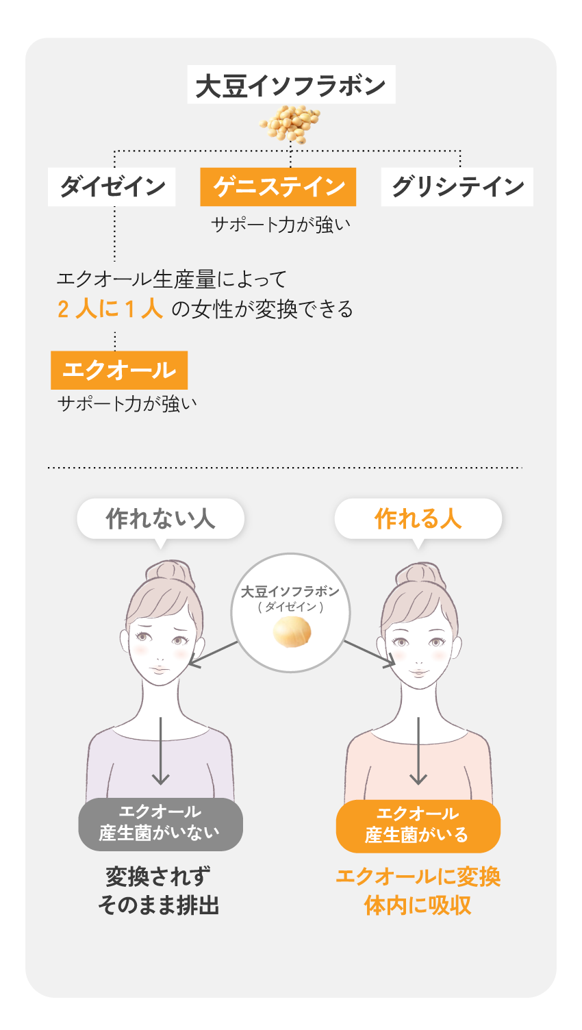 ストーリー｜続けやすさへの気づき