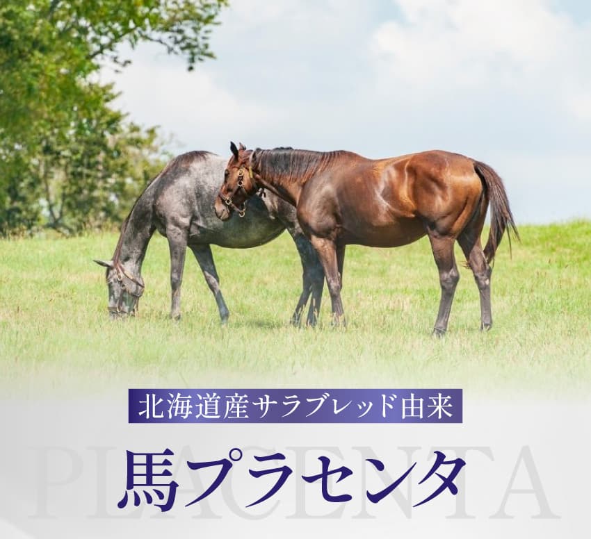 北海道産サラブレッド由来 馬プラセンタ