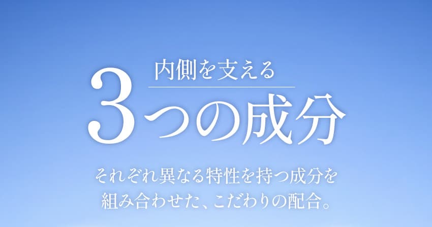 内側を支える3つの成分 それぞれ異なる特性を持つ成分を組み合わせた、こだわりの配合。