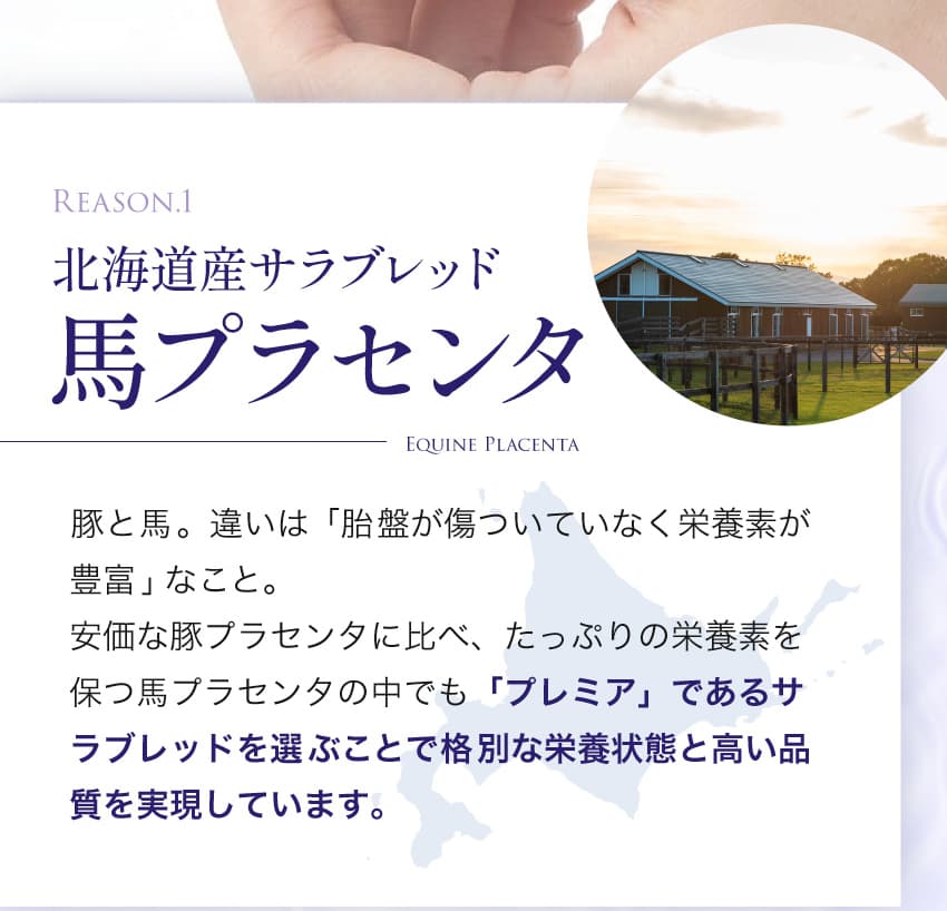 Reason.1 北海道産サラブレッド 馬プラセンタ 豚と馬。違いは「胎盤が傷ついていなく栄養素が豊富」なこと。サラブレッドを選ぶことで格別な栄養状態と高い品質を実現しています。