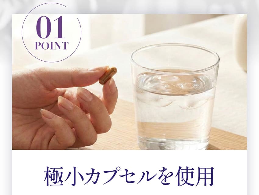 POINT 01 極小カプセルを使用