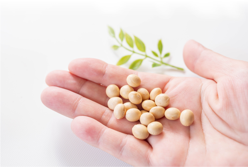 エクオールイメージ画像