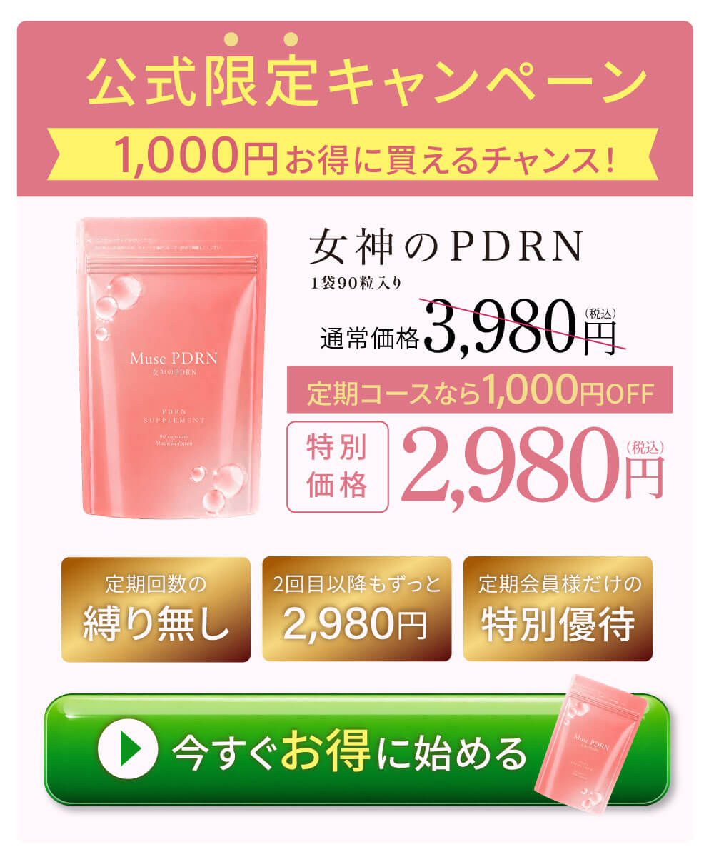 公式限定キャンペーン 定期購入で1,000円お得
